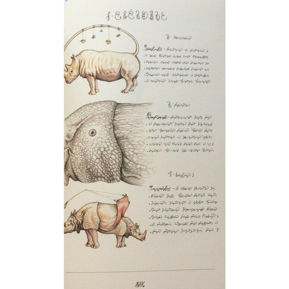 Luigi Serafini Codex Seraphinianus Print 98 - Picture 6 of 10